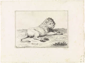 backsack balls bedroom_eyes digitigrade feral genitals grass lying lying_on_ground male male_feral mane narrowed_eyes on_ground pawpads paws plant quadruped seductive side_view solo tail tail_tuft tuft whiskers bernard_picart public_domain felid lion mammal pantherine 1729 18th_century absurd_res ancient_art hatching_(art) hi_res monochrome shaded signature traditional_media_(artwork)