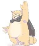 anthro belly big_belly cape clothing eyes_closed humanoid_hands kemono male overweight overweight_male simple_background solo inunoshippo tera_online popori 2022 hi_res