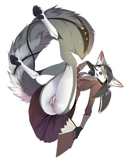 4_toes 5_fingers anthro black_hair book breasts eyebrows eyelashes feet female fingers fur genitals grey_body grey_fur hair holding_book holding_object inner_ear_fluff pawpads paws solo toes tuft vulva drmax selket_ayad canid canine mammal 2021 digital_media_(artwork) hi_res