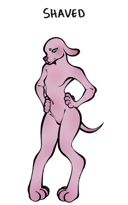 anthro blush breasts circle_eyebrows defined_armpit digitigrade eyebrows feet female green_eyes hairless handpaw hindpaw navel nude paws pink_body pink_skin shaved simple_background slim small_breasts snout solo standing text dreamscreep canid canine canis domestic_dog mammal poodle absurd_res digital_media_(artwork) english_text hi_res procreate_(artwork)