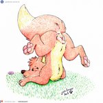 3_toes animal_genitalia animal_pussy anus ass_up butt canine_genitalia canine_pussy eyes_closed feet female feral flower fur genitals grass legs_in_air legs_up patreon_logo patreon_username pawpads paws pink_paws pink_pussy plant presenting presenting_hindquarters pussy solo spread_legs spreading text toes tongue yordraw jungledyret_hugo patreon rita_(jungledyret) canid canine fox mammal red_fox true_fox 1:1 hi_res traditional_media_(artwork) url