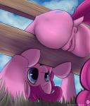 2017 absurd_res against_fence against_surface anus bent_over blue_eyes bodily_fluids butt butt_focus cutie_mark dock_(anatomy) earth_pony equid equine female fence feral friendship_is_magic genital_fluids genitals grass hair happy hasbro hi_res horse mammal my_little_pony nude open_mouth outside pink_hair pinkie_pie_(mlp) plant plump_labia pony presenting presenting_hindquarters presenting_pussy pussy sky sodiav solo stuck tail third-party_edit vaginal_fluids