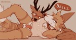 anthro anthro_on_anthro antlers ball_fondling balls biped blush bodily_fluids bottomless bottomless_anthro bottomless_male brown_body brown_fur clothed clothing collar duo erection fondling fur genital_fluids genitals horn humanoid_genitalia humanoid_penis interspecies looking_at_viewer male male/male multicolored_body multicolored_fur penis precum shirt simple_background smile tail tail_motion tailwag tan_body tan_fur tank_top text text_on_clothing text_on_shirt text_on_tank_top text_on_topwear topwear white_body white_fur lawyerdog cantio_(lawyerdog) panko_(lawyerdog) canid canine canis coyote deer mammal 2022 digital_media_(artwork) english_text hi_res