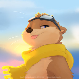anthro blep blue_eyes brown_body brown_fur close-up eyewear eyewear_on_head fur goggles goggles_on_head male scarf smile solo tongue tongue_out whiskers yellow_scarf letodoesart lee_(tamerlee) mammal mustelid otter 1:1 hi_res