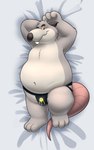 3_toes anthro belly big_belly black_nose clothed clothing dakimakura feet grey_body jockstrap jockstrap_only kemono lying male navel overweight overweight_male smile solo toes topless underwear underwear_only nookdae brok_the_investigator cowcat_games generic_rat_(brok_the_investigator) mammal murid murine rat rodent 2024 5:8 absurd_res dakimakura_design hi_res