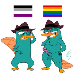 anthro asexual_pride_colors balls blush clothing comparison duo erection fan_designs genitals glans hat headgear headwear humanoid_genitalia humanoid_penis lgbt_pride male male/male one_eye_closed penis pride_colors rainbow_pride_colors simple_background six-stripe_rainbow_pride_colors tail trilby white_background platislut rocky_rakoon disney phineas_and_ferb perry_the_platypus mammal monotreme platypus 1:1 hi_res