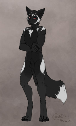amputee animal_genitalia anthro balls black_body black_fur disability fur genitals male missing_arm nude penis red_eyes sheath solo blokfort polaris_(mousguy) canid canine fox mammal 2020 hi_res