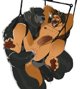 4_toes accessory anal anal_fisting anal_fluids anal_penetration anthro anthro_on_anthro athletic balls bdsm beard black_body black_penis blush bodily_fluids bound brown_body chain_in_mouth clothed clothed/nude clothing cock_ring crotchless_bottomwear crotchless_clothing crouching dripping duo ear_piercing ear_ring erection eye_roll eyebrow_piercing facial_hair facial_piercing feet fisting footwear foreskin frenum_ladder frenum_piercing genital_fluids genital_piercing genitals gloves grin half-closed_eyes hands_behind_head hands_tied handwear hat head_grab headgear headwear humanoid_genitalia humanoid_penis hypnosis jewelry ladder_piercing male male/male mind_control musclegut muscular narrowed_eyes necktie nipple_chain nipple_chain_pull nipple_piercing nipple_ring nipples nose_piercing nose_ring nude obscured_eyes open_mouth pawpads penetration penis penis_accessory penis_jewelry penis_piercing piercing precum prince_albert_piercing retracted_foreskin ring_piercing ringed_eyes sex_swing shoes simple_background smile spread_legs spreading tail toes tongue tongue_out tongue_piercing topwear white_background hyenaface milo_(runneroo) nick_boyd_(runneroo) bear canid canine canis domestic_dog german_shepherd herding_dog mammal pastoral_dog hi_res story story_in_description