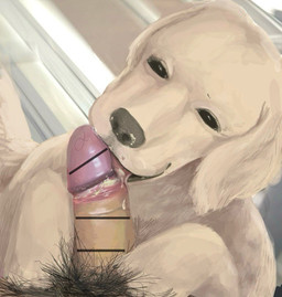ambiguous_gender bestiality bodily_fluids claws drooling duo eating_smegma feral foreskin fur genital_fluids genitals human_on_feral ineffective_censorship interspecies male male/ambiguous musk musky_penis paws paws_on_penis penis precum pubes pubes_in_foreskin retracted_foreskin saliva smegma smegma_in_mouth smegma_on_face smegma_on_nose smegma_on_penis smegma_on_tongue white_body white_fur angra bird_dog canid canine canis domestic_dog golden_retriever human hunting_dog mammal retriever censored lineless