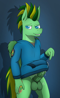 anthro balls bedroom_eyes bite biting_lip bodily_fluids bottomless clothed clothing cum cum_in_clothing cum_through_clothing cum_through_hoodie ejaculation genital_fluids genitals gesture hand_gesture hand_on_hip hoodie looking_at_viewer male narrowed_eyes penis pointing pointing_at_penis pointing_at_self seductive shirt solo standing sweat sweaty_balls sweaty_genitalia topwear wet wet_clothing wings tacomytaco hasbro my_little_pony mythology taco.m.tacoson equid equine horse mammal mythological_creature mythological_equine pegasus pony absurd_res hi_res
