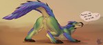 anus blue_body blue_fur female female_feral feral fur genitals gradient_background green_body looking_at_viewer presenting presenting_pussy pussy simple_background solo tail text kuribon capcom monster_hunter mythology dragon mythological_creature mythological_scalie scalie seikret wild_ride english_text hi_res