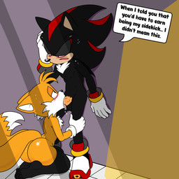 age_difference anthro aroused big_butt blush butt duo fellatio femboy genitals kneeling male male/male oral penile penis sex text soulyagami64 sega sonic_the_hedgehog_(series) miles_prower shadow_the_hedgehog canid canine eulipotyphlan fox hedgehog mammal 1:1 english_text