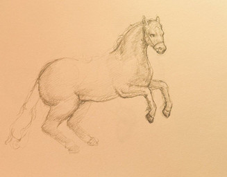 ears_up feral fur hair hooves looking_forward male muzzle_(object) nude raised_leg solo standing tail reynard_goodfellow equid equine horse mammal monochrome sketch