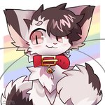 :3 anthro blush blush_lines collar cute_fangs fangs femboy fluffy fur hair kemono lgbt_pride looking_at_viewer male male_anthro multicolored_body multicolored_fur multicolored_tail pride_color_background pride_colors rainbow_pride_colors simple_background six-stripe_rainbow_pride_colors solo tail teeth whiskers pinkpoffinz domestic_cat felid feline felis mammal 1:1 2023 digital_media_(artwork) hi_res icon portrait