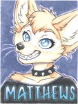 anthro badge blind clothed clothing disability female fur name_tag smile solo tan_body tan_fur teeth kacey matthews_(razumi) canid canine fennec_fox fox mammal true_fox absurd_res bust_portrait hi_res portrait