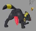 animal_genitalia animal_penis anus balls black_anus butt canine_genitalia canine_penis genitals knot male penis solo druggetcat nintendo pokemon eeveelution generation_2_pokemon pokemon_(species) umbreon absurd_res hi_res