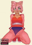 blinking breasts clothed clothing clothing_aside ear_twitch female fur genitals green_eyes kneeling looking_at_viewer panties panties_aside pussy simple_background small_breasts solo thick_thighs underwear underwear_aside radaq sega sonic_the_hedgehog_(series) amy_rose eulipotyphlan hedgehog mammal animated short_playtime