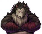 male overweight overweight_male scar simple_background solo white_background lako sega shining_(sega) shining_force shining_wind rouen_(shining) canid canine canis mammal wolf 2011