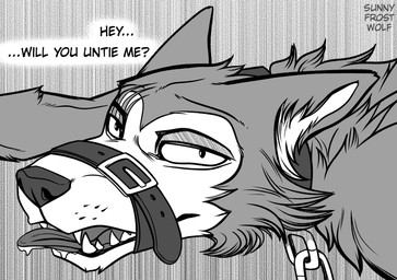 anthro asking asking_viewer belt bodily_fluids bound chain chain_leash close-up collar dialogue ears_back eye_scar facial_scar fangs leash lying male muzzle_(object) muzzled on_front pivoted_ears question restraints saliva saliva_on_tongue scar simple_background solo speech_bubble talking_to_viewer teeth text tongue tongue_out yes-no_question sunny_frostwolf beastars legoshi_(beastars) canid canine canis mammal wolf 2021 artist_name digital_media_(artwork) english_text hi_res monochrome