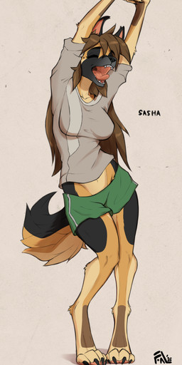 4_toes 5_fingers anthro barefoot bent_leg big_breasts biped black_nose bottomwear breasts brown_body brown_fur brown_hair claws clothed clothed_anthro clothed_female clothing contrapposto cute_fangs digitigrade eyebrow_through_hair eyebrows eyes_closed fangs feet female female_anthro finger_claws fingers fluffy fluffy_ears fluffy_tail front_view fully_clothed fully_clothed_anthro fully_clothed_female fur green_clothing grey_clothing grey_topwear hair hands_above_head hotpants humanoid_hands interlocked_fingers knock-kneed leaning long_hair loose_hair messy_hair midriff monotone_background monotone_hair multicolored_body multicolored_fur multicolored_tail open_mouth paws pointy_ears raised_arms shirt shorts simple_background slim slim_anthro slim_female snout solo standing straight_arms straight_leg stretching tail tan_body tan_fur teeth text thick_thighs toe_claws toes tongue tongue_out topwear translucent translucent_hair white_background yawn fluffyminx sasha_(fluffyminx) canid canine canis domestic_dog german_shepherd herding_dog mammal pastoral_dog 2026 absurd_res character_name colored dated english_description full-length_portrait hi_res portrait shaded