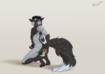 anal anal_masturbation anal_penetration anthro black_body black_fur black_hair black_nipples black_tail blue_eyes brown_eyes buttplug buttplug_in_ass buttplug_insertion foreskin fur genitals grey_body grey_fur hair heterochromia humanoid_genitalia humanoid_penis kneeling male masturbation nipples nude object_in_ass penetration penile penile_masturbation penis plug_(sex_toy) plug_insertion sex_toy sex_toy_in_ass sex_toy_insertion short_hair solo tail white_tail rufciu canid canine mammal 2024 dated hi_res signature
