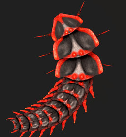 6_limbs ambiguous_gender exoskeleton feral grey_background grey_body markings multi_limb red_body segmented_body simple_background solo spots spotted_body deino_(artist) arthropod beetle insect platerodrilus trilobite_beetle 2026 3d_(artwork) autodesk_3ds_max_(artwork) digital_media_(artwork) full-length_portrait portrait female_(lore)