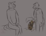 anthro balls dildo dildo_sitting_reveal feces genitals male penis penis_tip scatplay sex_toy thehuskydragon canid canine mammal hi_res