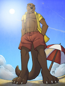 anthro athletic athletic_male beach biped clothed clothing fur male neck_muscles open_clothing open_shirt open_topwear outside perspective seaside shirt solo standing sun topwear tsaiwolf mammal mustelid otter 3:4 hi_res
