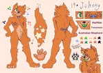 ambiguous_gender anthro australian mastectomy_scar scar shepherd solo text visibly_trans johnny_furstar australian_shepherd canid canine canis domestic_dog herding_dog mammal pastoral_dog sheepdog english_text hi_res model_sheet trans_(lore) trans_man_(lore)