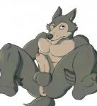 anthro anus butt erection foreskin genitals humanoid_genitalia humanoid_penis male muscular muscular_anthro muscular_male nude penis solo oriont beastars legoshi_(beastars) canid canine canis mammal wolf hi_res