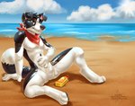 animate_inanimate anthro bandanna beach bottle canid canine canis chibi-marrow collie container digitigrade dizfoley domestic_dog featureless_crotch glistening glistening_body herding_dog inflatable kerchief living_inflatable male mammal nude null outside pastoral_dog pool_toy sand seaside sheepdog sitting sky solo sunscreen vinyl water