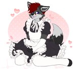 anthro black_body black_fur blue_eyes clothed clothing crossdressing dress femboy frilly frilly_clothing fur hair kneeling legwear maid_uniform male red_hair solo stockings tongue uniform nere0s shrapnelvargr canid canine fox mammal hi_res