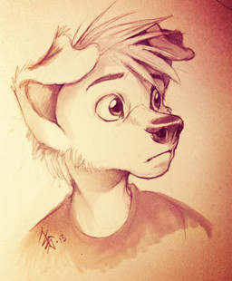 E621 profile picture for @spark