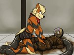 2020 4:3 anthro anthro_on_anthro arcanine arrwulf blonde_hair bodysuit bottomwear canid canine clothing covering duo feces feces_on_arm feces_on_body feces_on_chest feces_on_clothing feces_on_face feces_on_leg fennec_fox fox fur generation_1_pokemon glistening glistening_clothing grey_body grey_fur hair inflation kerchief knedit kneeling latex latex_bottomwear latex_clothing latex_shorts latex_skinsuit looking_down looking_down_at_partner looking_forward lying male male/male mammal multicolored_body multicolored_fur neckerchief neckwear nintendo on_back orange_body orange_fur pokemon pokemon_(species) purple_eyes red_eyes rubber_clothing scat_inflation scatplay shorts skinsuit tan_body tan_fur tight_clothing translucent translucent_clothing true_fox tube