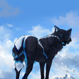 black_body black_fur black_nose blue_eyes blue_markings blue_penis blue_sky erection feral fur genitals looking_at_viewer male markings mouth_closed outside penis quadruped sky solo text white_markings msdeadsoul stallone_(stallonewolf) canid mammal 1:1 2019 artist_name dated