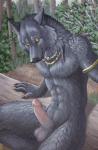 abs anthro balls biped black_body black_fur claws collar detailed_background erection forest fur genitals humanoid_genitalia humanoid_penis jewelry looking_at_viewer male necklace nude outside penis plant sitting solo tree tribal wood yellow_eyes myenia canid canine canis mammal wolf 2010