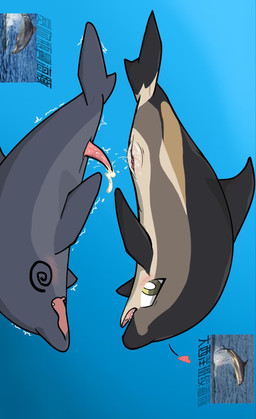animal_genitalia animal_penis clitoral_winking clitoris duo ejaculation fainting female feral feral_on_feral genitals lagenorhynchus_acutus male male/female open_mouth open_smile penis sex shaking smile text toony unconscious underwater underwater_sex underwater_view vulva water 1145_(artist) aquatic bottlenose_dolphin cetacean dolphin mammal oceanic_dolphin toothed_whale chinese_text hi_res