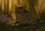 ambiguous_feral ambiguous_gender backlighting brown_body brown_eyes brown_fur detailed_background feral flower fur grass light plant solo whiskers white_whiskers hamham5 cricetid hamster mammal rodent 2023 absurd_res digital_media_(artwork) digital_painting_(artwork) hi_res lighting shaded