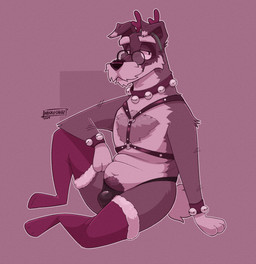arm_tuft bell bell_collar bulge cheek_tuft christmas_clothing clothing collar el_otis elbow_tuft eyelashes eyewear facial_hair facial_tuft fake_horns fluffy fluffy_chest fluffy_tail glasses harness holidays male mustache tail thick_eyelashes tuft muskysnauz christmas canid canine canis domestic_dog humanoid mammal schnauzer absurd_res hi_res