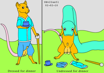 animal_genitalia balls blue_bottomwear blue_clothing blue_hat blue_headwear blue_pants blue_shirt blue_topwear bottomwear clothing discarded_hat discarded_pants discarded_shirt duo feral feral_pred feral_prey fur genitals grass green_body hat head_first head_in_mouth headgear headwear holding_clothing holding_hat holding_headgear holding_headwear holding_object larger_pred male male/male male_pred male_prey nude nude_male nude_pred nude_prey oral_vore outside pants plant rock sheath shirt size_difference smile smiling_at_viewer tail text topwear unwilling_prey vore willing_pred yellow_body yellow_fur urbanhermit mammal murid murine rat reptile rodent scalie snake 2002 colored dated