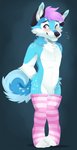 anthro blush canid canine canis clothing crotch_tuft curled_tail domestic_dog featureless_crotch feve fluffy fluffy_tail footwear fur hair hands_behind_back heiko_(heikohusky) hi_res husky inner_ear_fluff legwear legwear_only looking_away male mammal multi_tone_fur multicolored_body multicolored_ears multicolored_fur multicolored_tail neck_tuft nervous nordic_sled_dog pattern_clothing pattern_footwear pattern_legwear pattern_socks purple_hair simple_background smile socks solo spitz spots striped_clothing striped_footwear striped_socks stripes tail thigh_highs tuft