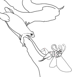 anthro breasts duo female feral imminent_vore non-mammal_breasts nude scared tongue tongue_wrap vore unknown_artist amphibian arthropod frog insect lepidopteran moth 1:1