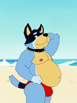 anthro areola beach belly blue_body blue_fur bulge clothed clothing fingers fur hand_behind_head looking_at_viewer male nipples outside overweight overweight_anthro overweight_male pecs sand seaside sky smile solo speedo speedo_only standing swimwear tail topless topless_anthro topless_male water unclejock bluey_(series) bandit_heeler australian_cattle_dog canid canine canis cattledog domestic_dog herding_dog mammal pastoral_dog 3:4 digital_media_(artwork) hi_res