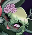 accessory anthro blush fangs female flower flower_in_hair green_hair hair hair_accessory pink_eyes plant smile solo teeth lemur2003_(artist) rakka_batflower bat batflower fruitbat mammal hi_res