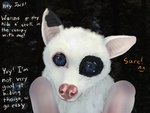 ^w^ anthro black_spots blue_eyes dialogue emoticon female fur leucistic looking_at_viewer membrane_(anatomy) membranous_wings offscreen_character photo_background pink_nose realistic semi-anthro solo spots text white_body white_fur wings oddly_arousing napkin_(akaifox) bat mammal megabat 4:3 bust_portrait digital_media_(artwork) english_text photography_(artwork) portrait shaded watermark