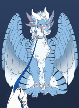 animal_genitalia animal_penis anthro balls barcode bdsm big_balls blue_penis blush bondage bound collar cuff_(restraint) fur genitals horn leash male muzzle_(object) muzzled penis penis_tip presenting restraints sheath snout solo stripes submissive submissive_male wings wrist_cuffs mythology teck dragon furred_dragon furred_scalie mythological_creature mythological_scalie scalie absurd_res hi_res
