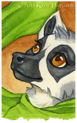 black_nose brown_eyes feral fur solo katie_hofgard lemur mammal primate ring-tailed_lemur strepsirrhine 2015 headshot_portrait portrait traditional_media_(artwork)