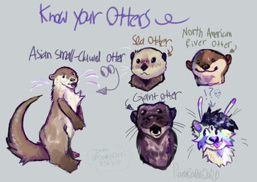 3_eyes ambiguous_gender antennae_(anatomy) black_hair blep brown_body brown_fur dot_eyes feral fur green_body green_fur grey_background group hair multi_eye simple_background simple_eyes small_ears tail tan_body text tongue tongue_out pinatareaper alien alien_otter asian_small-clawed_otter giant_otter lontra mammal mustelid north_american_river_otter otter river_otter sea_otter absurd_res digital_media_(artwork) full-length_portrait headshot_portrait hi_res portrait