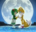 anthro blue_eyes blush clothed clothing duo eyelashes female fingers gloves hair hand_holding handwear lake male male/female moon outside plant smile thin_calves thin_legs thin_thighs water metalpandora sega sonic_the_hedgehog_(series) sonic_x cosmo_the_seedrian miles_prower canid canine elemental_creature flora_fauna fox humanoid mammal seedrian digital_media_(artwork)