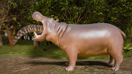 big_teeth brown_body brown_eyes brown_scales brown_skin duo feral feral_pred forest grass open_mouth oral_vore pink_mouth plant realistic realistic_feral scales side_view tail tree vore kenresek crocodilian hippopotamid mammal reptile scalie 16:9 3d_(artwork) blender_(artwork) digital_media_(artwork) hi_res watermark widescreen